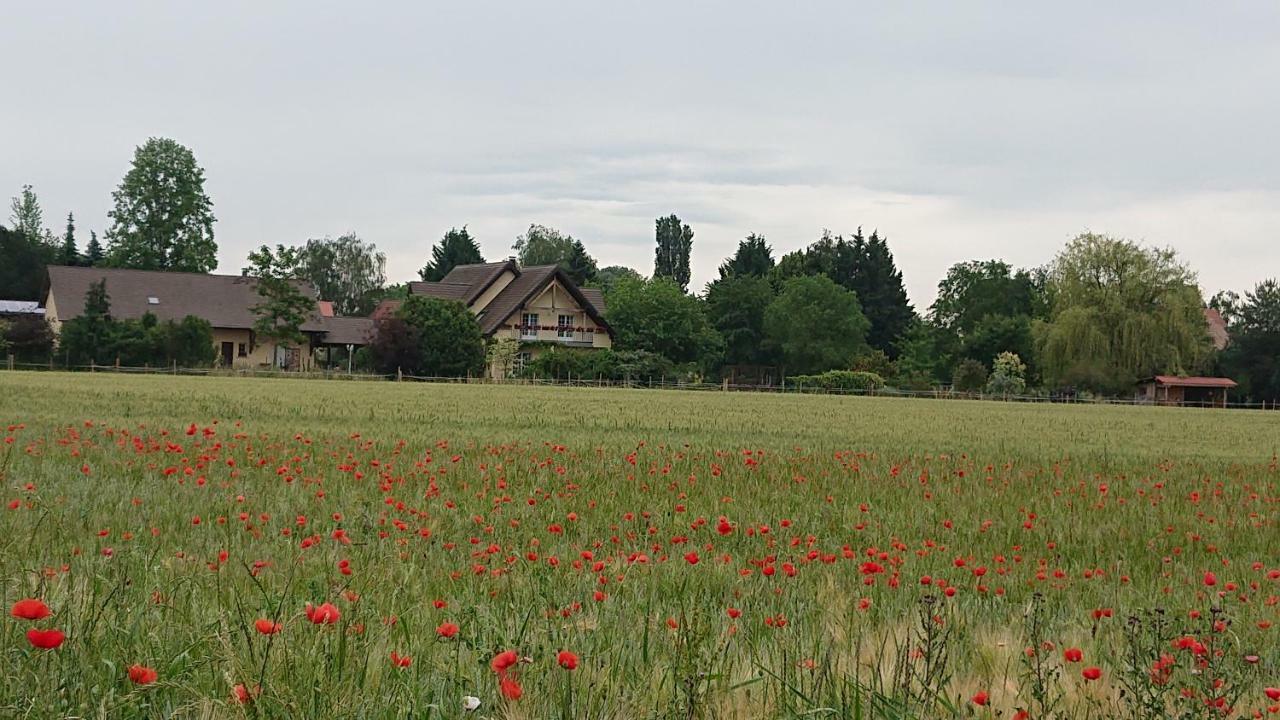 Du Clos Paisible Jebsheim
